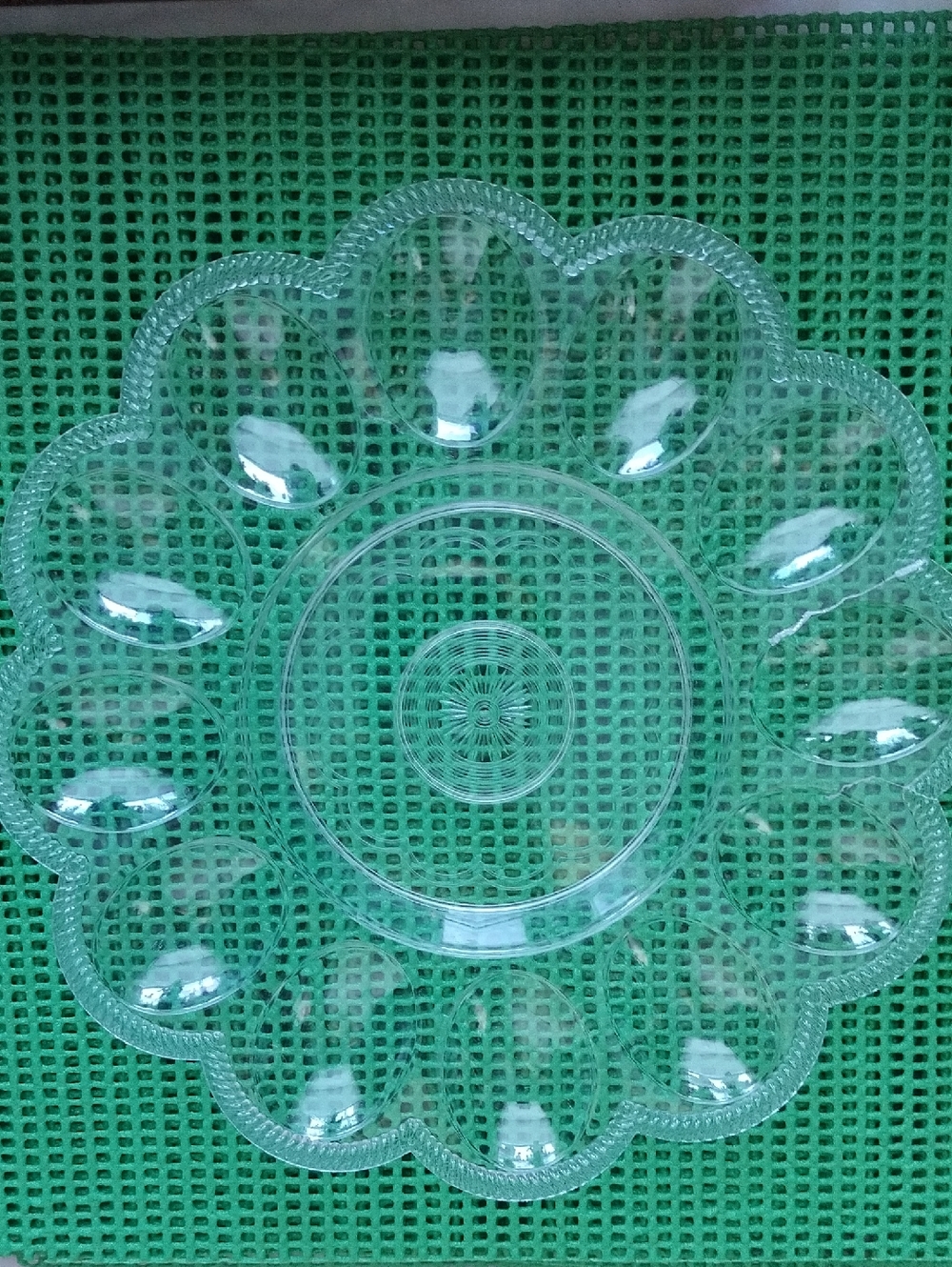 Clear Plastic Deviled Egg Platter